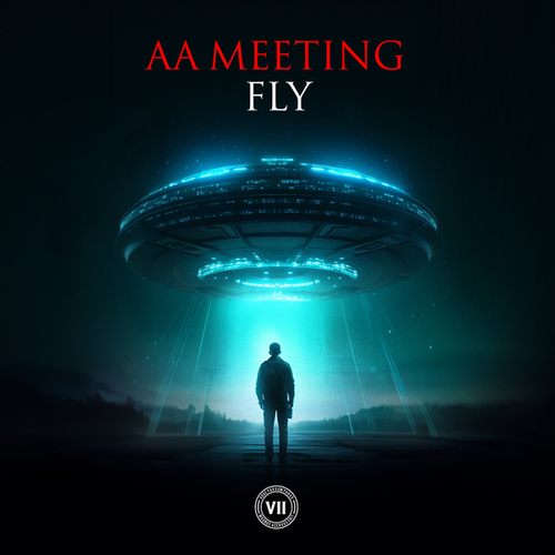 AA Meeting-Fly