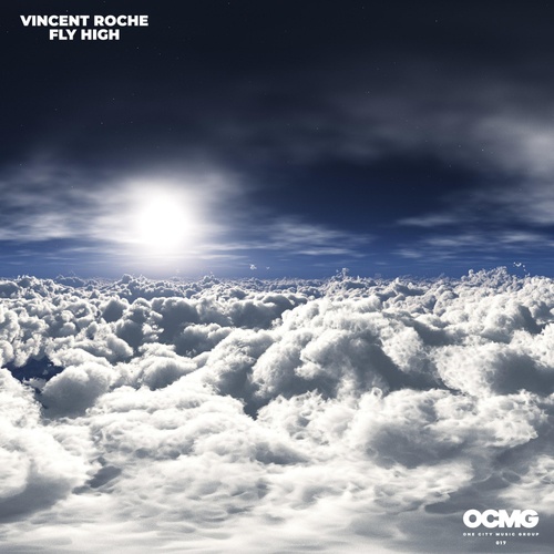 Vincent Roche-Fly High