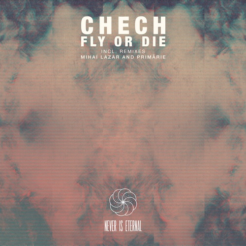 Chech, Primarie, Mihai Lazar-Fly or Die