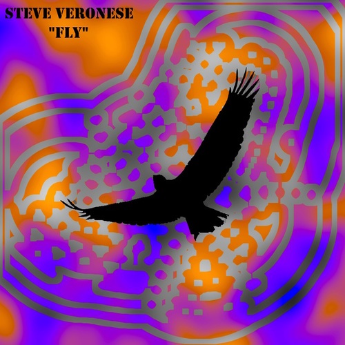 Steve Veronese-Fly