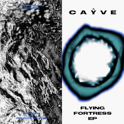 Caŷve, Rich In Harmonics, Vendex, GIFT-Flying Fortress EP