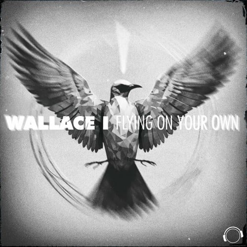 Wallace-Flying on Your Own