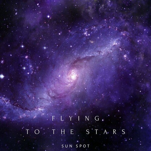 Sun Spot-Flying to the Stars