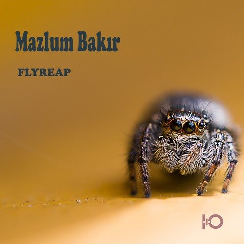 Mazlum Bakır-Flyreap