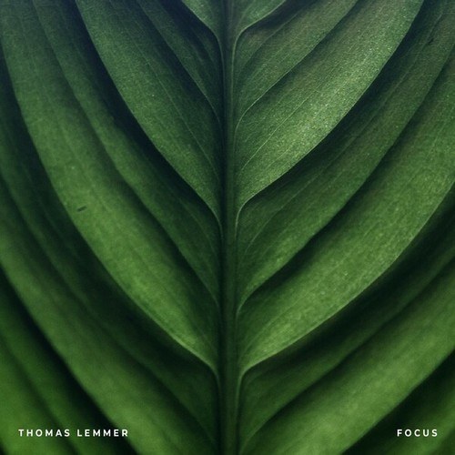 Thomas Lemmer-Focus
