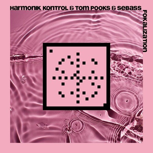 Harmonik Kontrol, Tom Pooks, Sebass-Fokalization (20 Years Systematic)