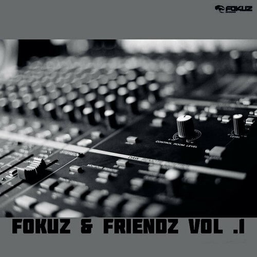Various Artists-Fokuz & Friends Vol. 1