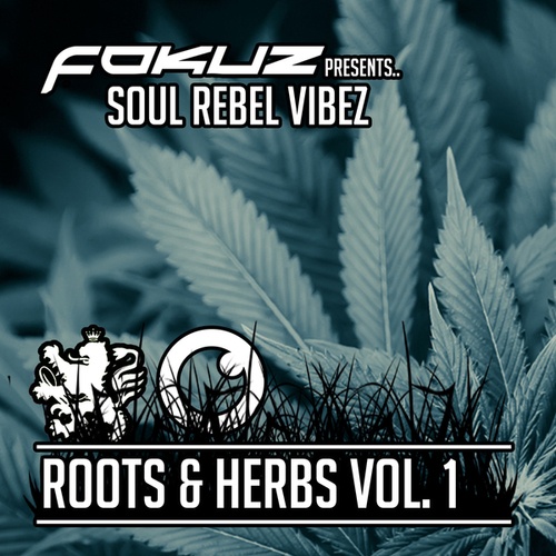 Various Artists-Fokuz Presents Soul Rebel Vibez - Roots & Herbs Vol 1