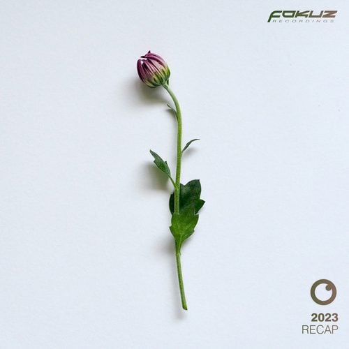 Various Artists-Fokuz Recap 2023