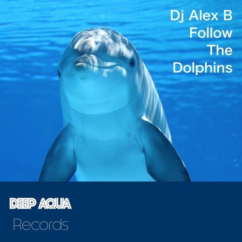 DJ Alex B-Follow the Dolphins