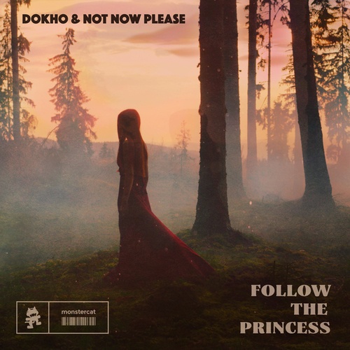 Not Now Please, Dokho-Follow The Princess