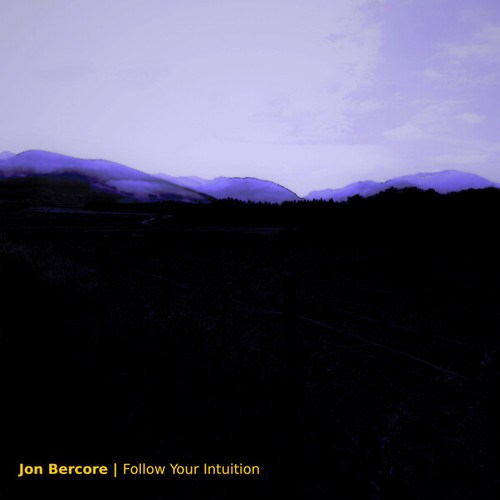 Jon Bercore-Follow Your Intuition
