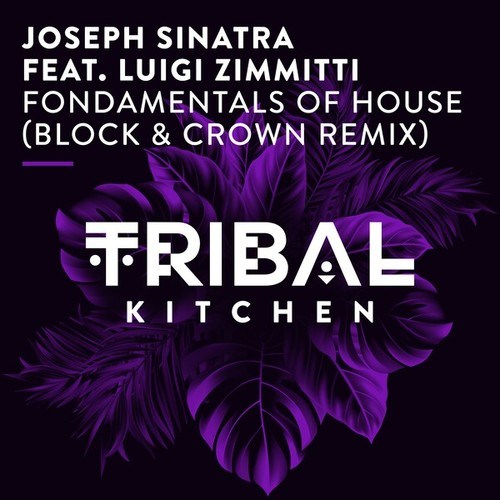 Joseph Sinatra, Luigi Zimmitti, Block & Crown-Fondamentals of House (Block & Crown Remix)