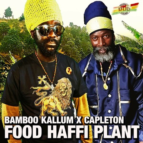 Food Haffi Plant