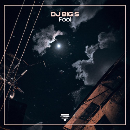 DJ BIG S-Fool