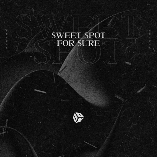 SWEET SPOT-For Sure