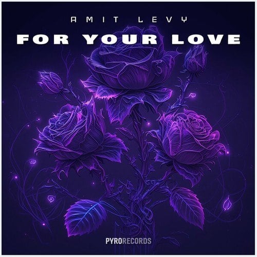 Amit Levy-For Your Love