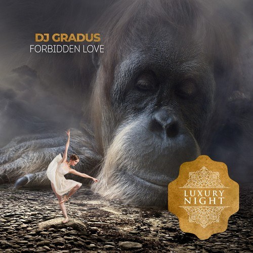 Dj Gradus-Forbidden Love