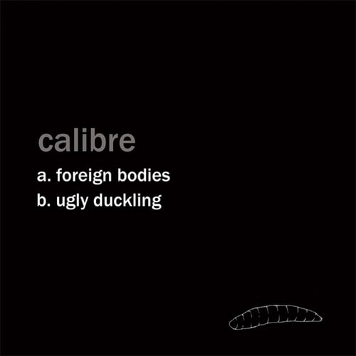 Calibre-Foreign Bodies / Ugly Duckling