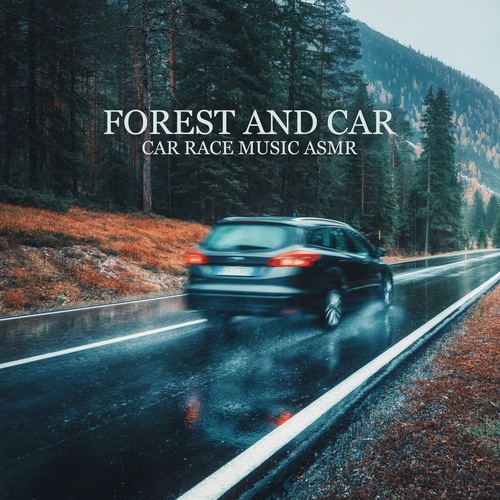 Calm Music Zone, Mario ASMR Studio-Forest and Car