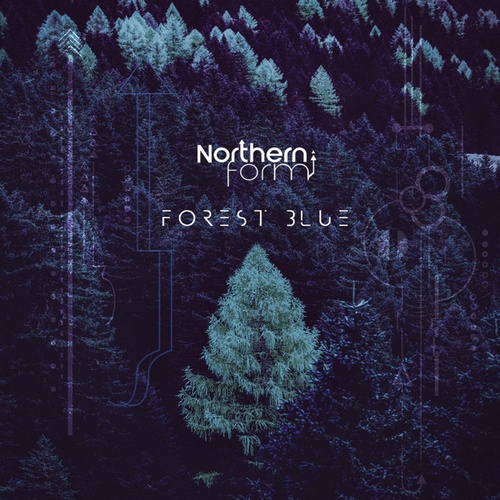 Northern Form-Forest Blue