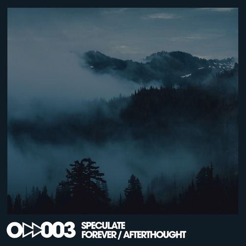 Speculate-Forever / Afterthought