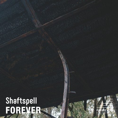 Shaftspell, Bristol Skank, Brother Rupert-Forever