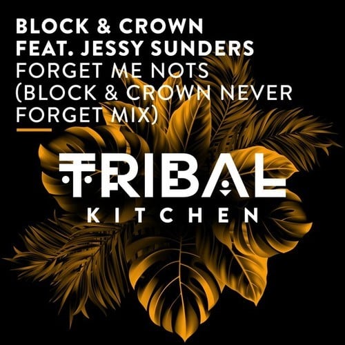 Block & Crown, Jessy Sunders-Forget Me Nots (Block & Crown Never Forget Mix)