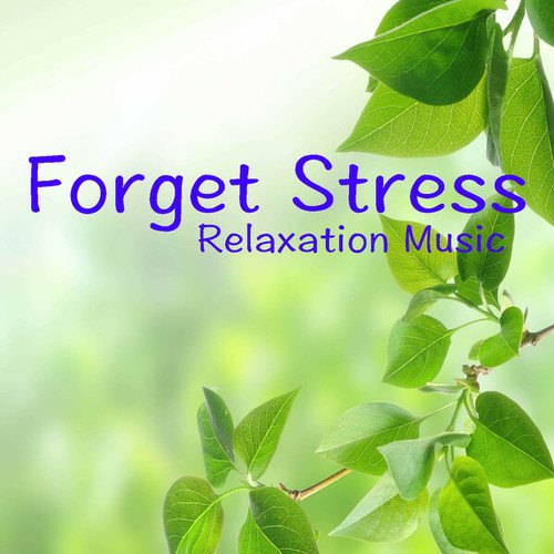 Forget Stress Relaxation Music