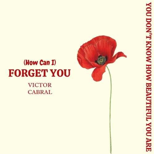 Victor Cabral-Forget You
