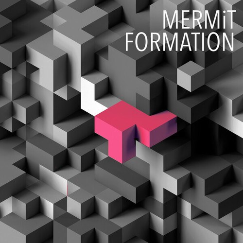 MERMiT-Formation
