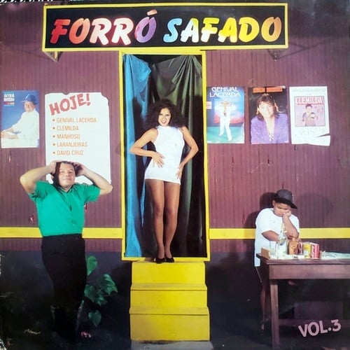 Forró Safado Vol. 3