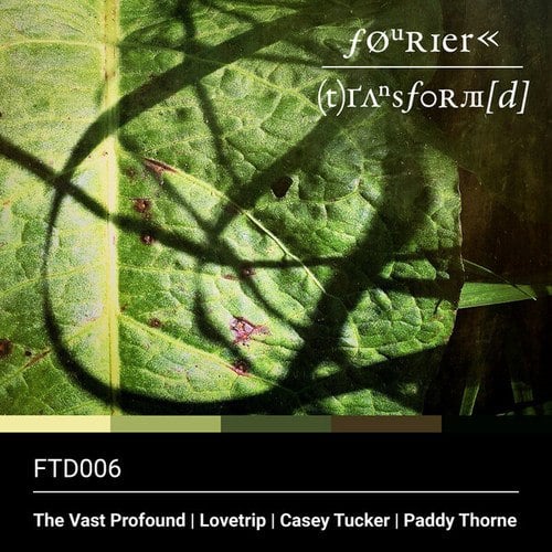 The Vast Profound, Casey Tucker, Lovetrip, Paddy Thorne-Fourier Transform(d) Six