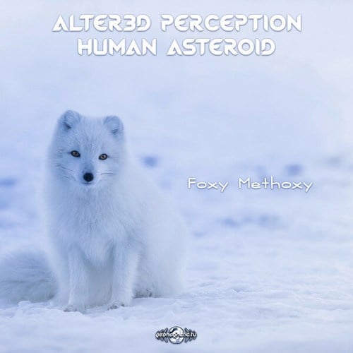 Alter3d Perception, Human Asteroid-Foxy Methoxy