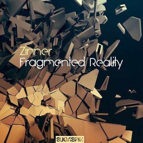 Zinner-Fragmented Reality