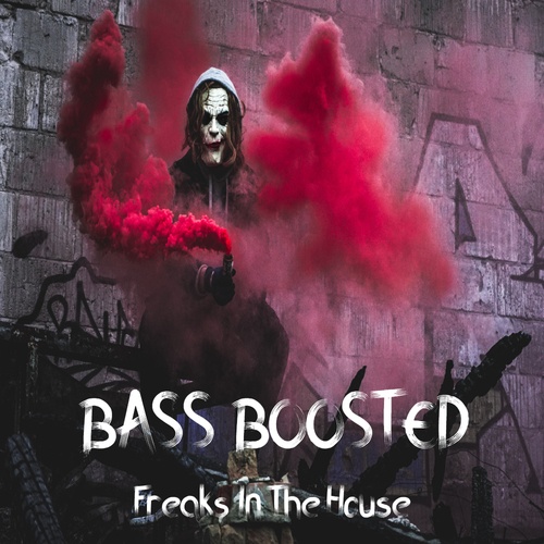 Bass Boosted-Freaks In The House