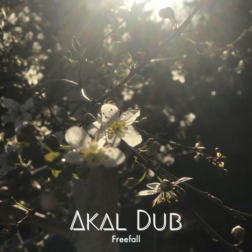Akal Dub-Free Fall