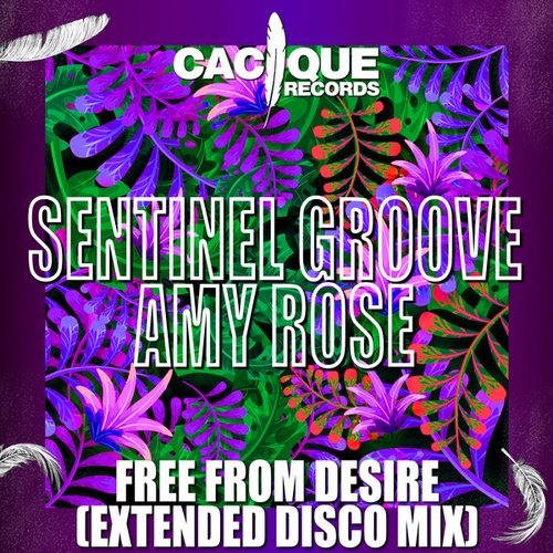 Sentinel Groove, Amy Rose-Free from Desire