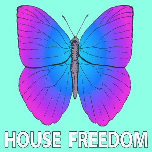 Various Artists-Freedom Minimal