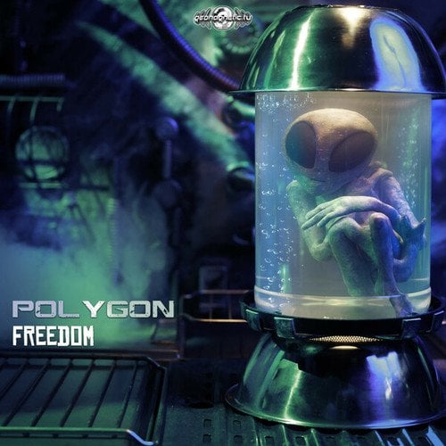 Polygon-Freedom