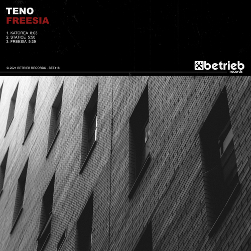 TENO-Freesia