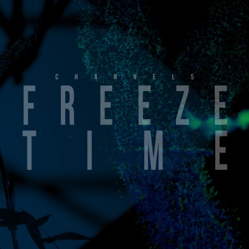 Channel 5-Freeze Time