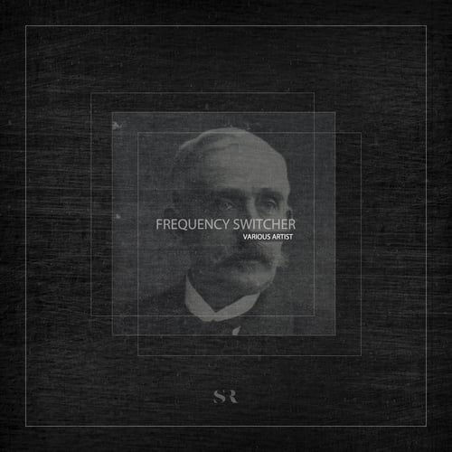 Various Artists-Frequency Switcher V/A