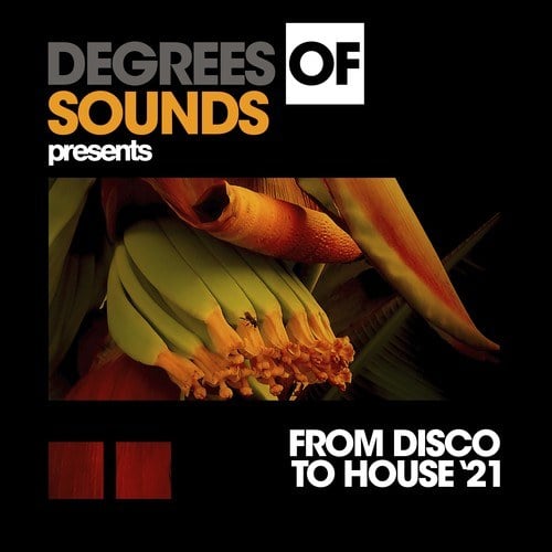Various Artists-From Disco to House '21