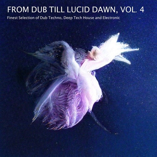 Various Artists-From Dub Till Lucid Dawn, Vol. 4 - Finest Selection of Dub Techno, Deep Tech House and Electronic