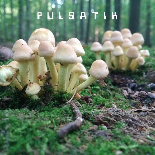 Pulsatik-From Here