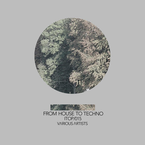 Various Artists-From House to Techno