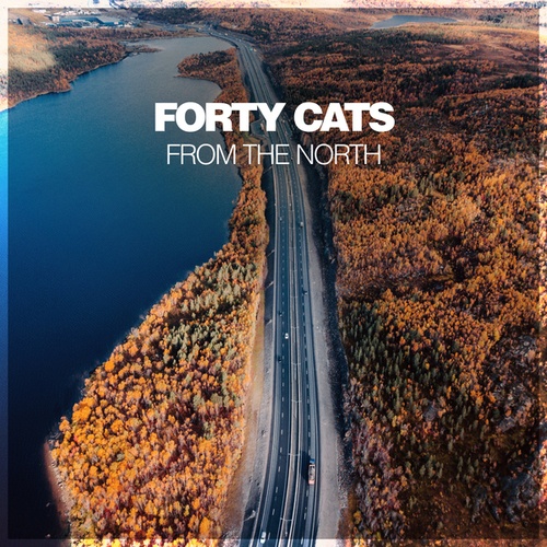 Forty Cats-From The North