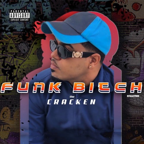 Funk Bitch