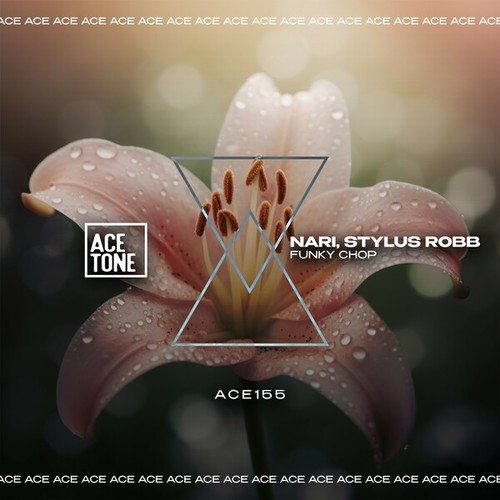 Nari, Stylus Robb-Funky Chop